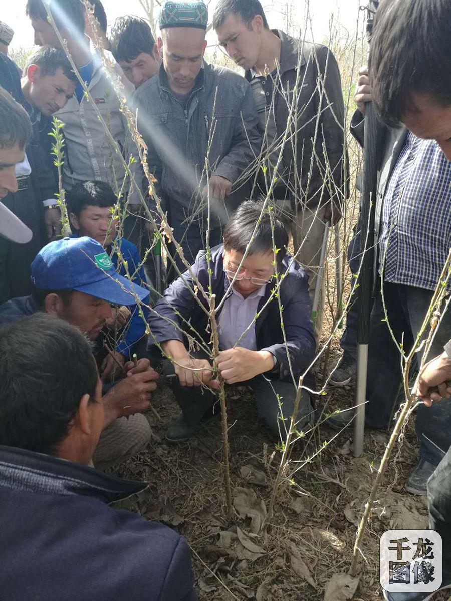 洛浦县自然资源和规划局最新动态报道