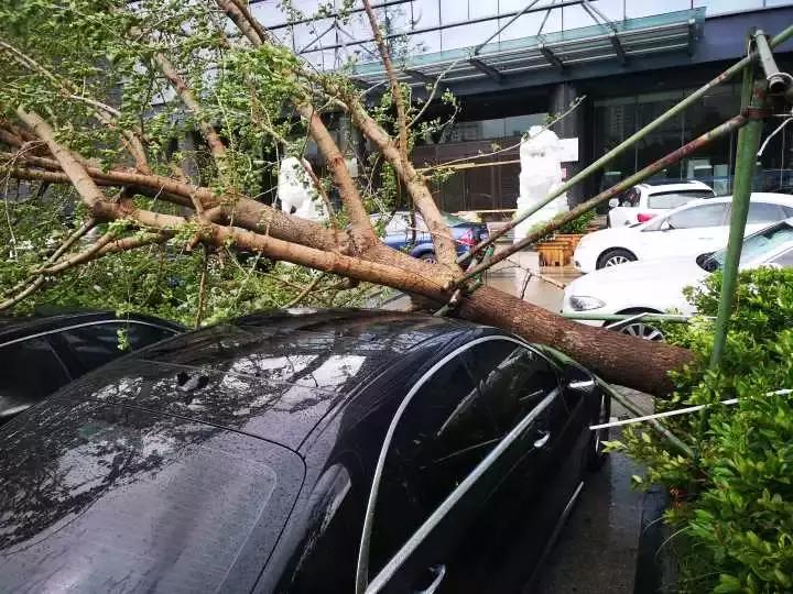 台风今日最新动态更新报告