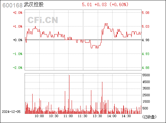 武汉控股最新消息全面解读