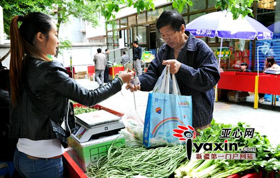 金乡蒜薹市场行情分析与种植户策略探讨，最新价格及市场走势解读