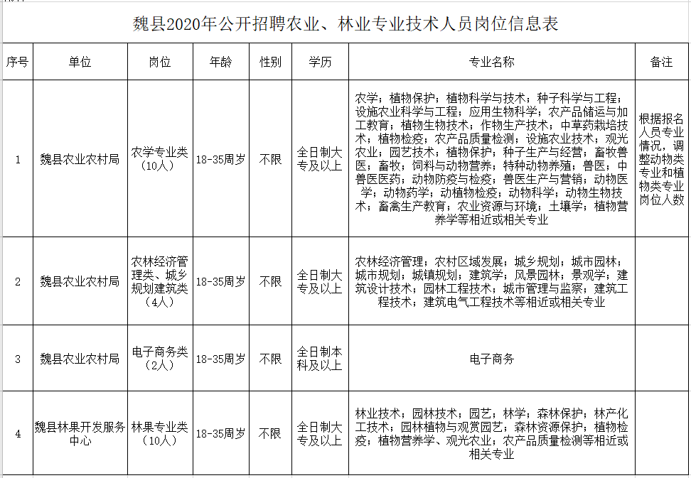 2024年12月6日 第26页