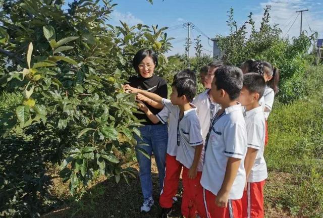 龙口市自然资源和规划局新项目助力城市可持续发展