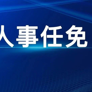 上海市人事任免动态更新