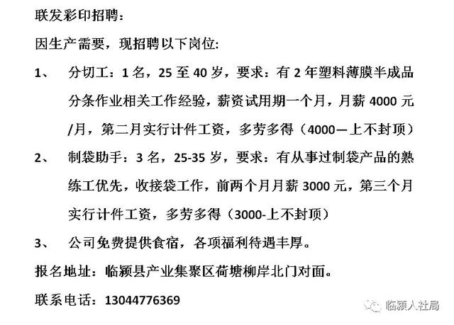 临淄招聘网最新招聘动态深度解读