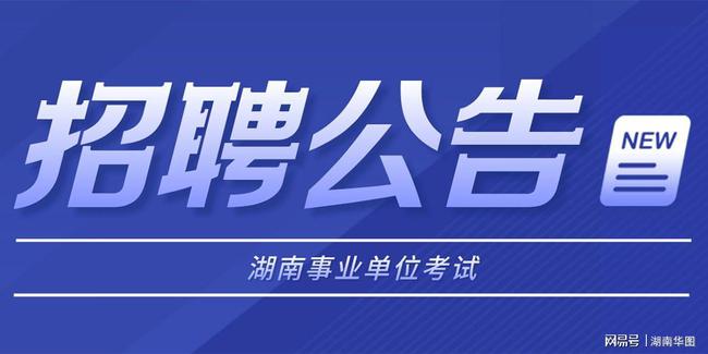 怀化招聘网最新招聘动态深度解读