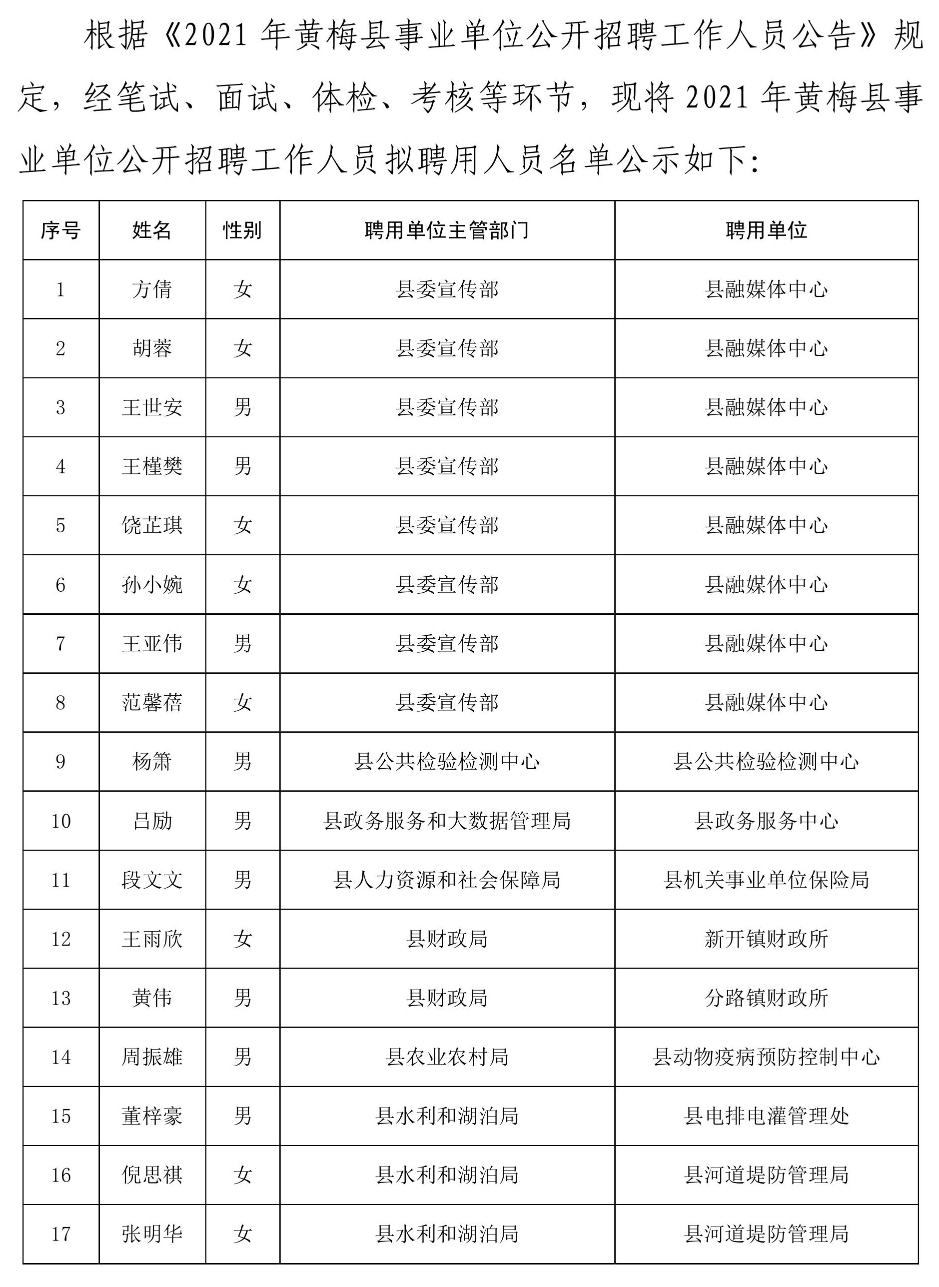 黄梅县审计局最新招聘公告详解